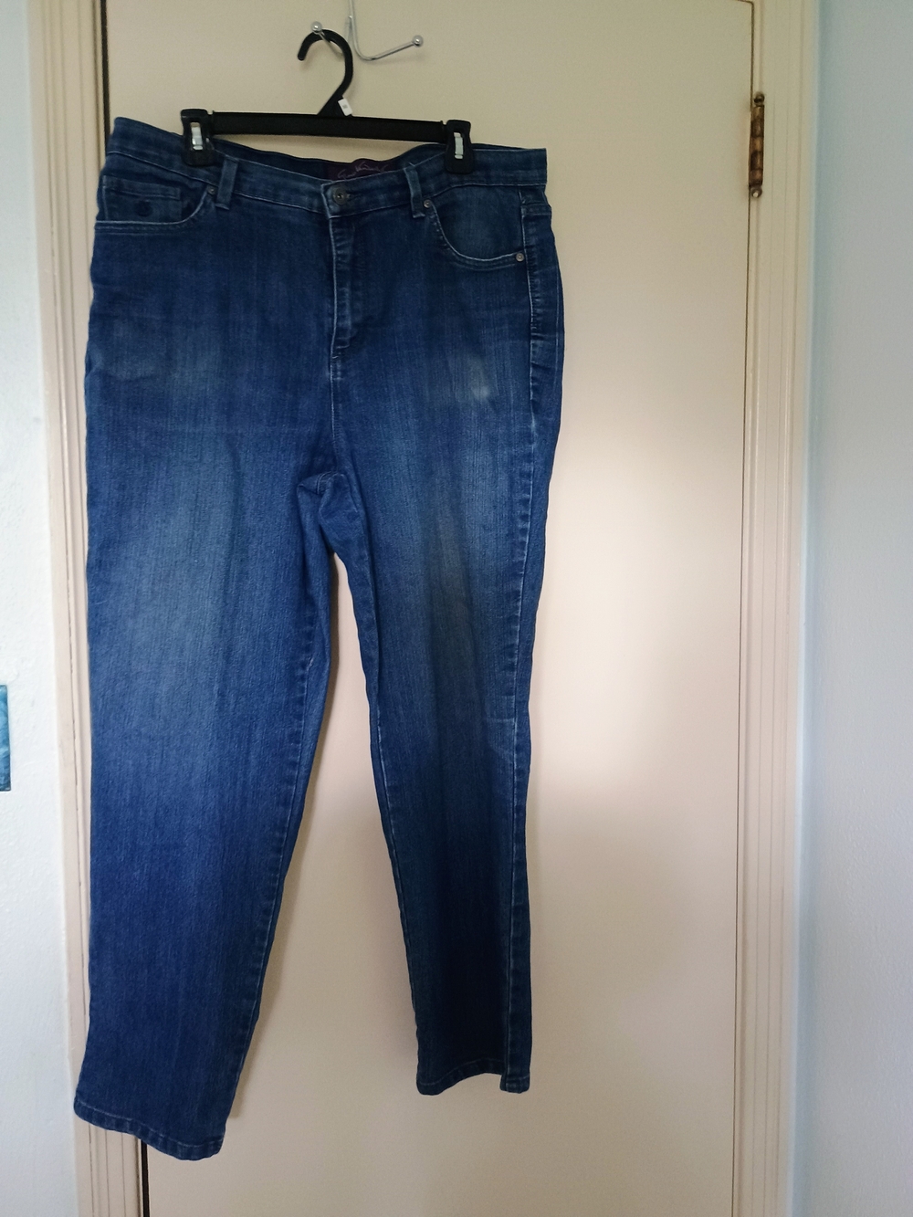 Gloria Vanderbilt Women's Indigo Skinny Jeans